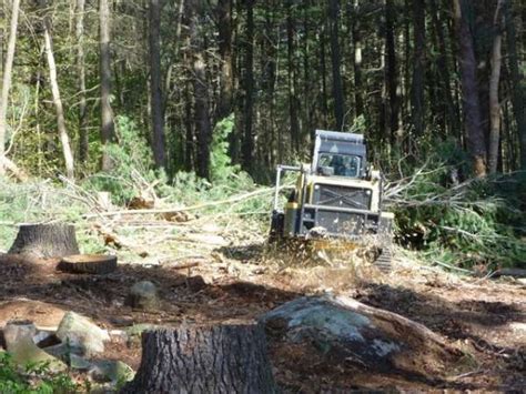 skidsteer mulchers rocky areas